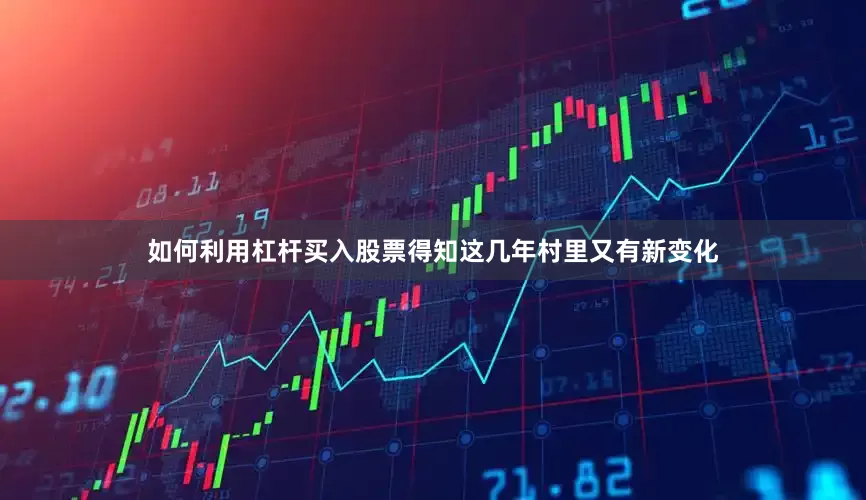 如何利用杠杆买入股票得知这几年村里又有新变化