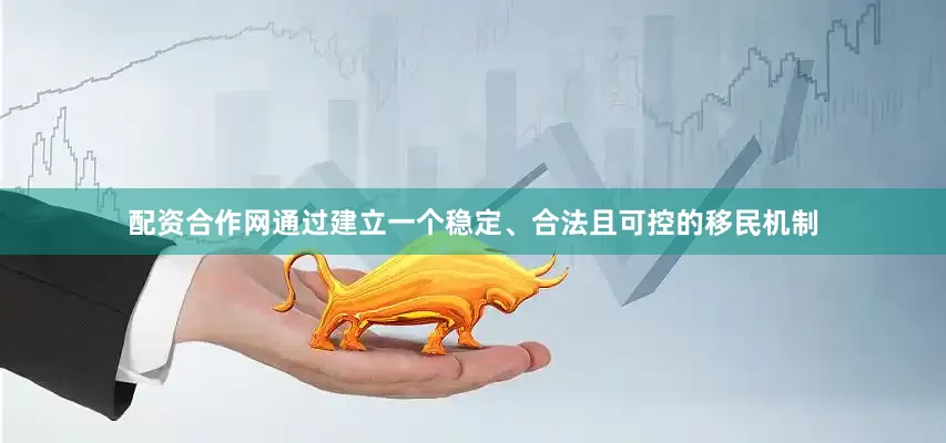 配资合作网通过建立一个稳定、合法且可控的移民机制