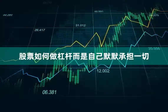 股票如何做杠杆而是自己默默承担一切
