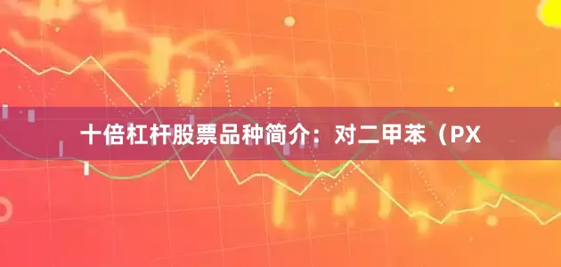 十倍杠杆股票品种简介：对二甲苯（PX