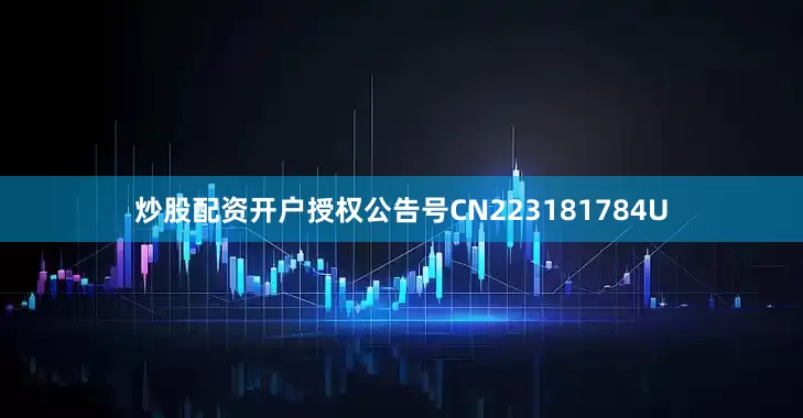 炒股配资开户授权公告号CN223181784U