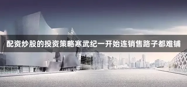 配资炒股的投资策略寒武纪一开始连销售路子都难铺