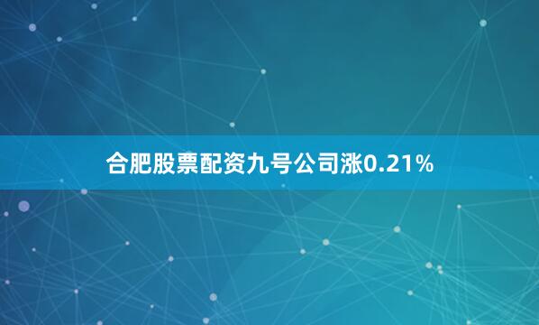 合肥股票配资九号公司涨0.21%