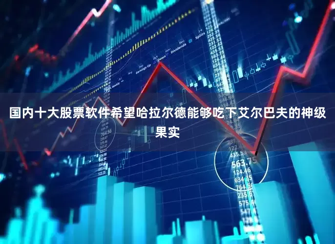国内十大股票软件希望哈拉尔德能够吃下艾尔巴夫的神级果实