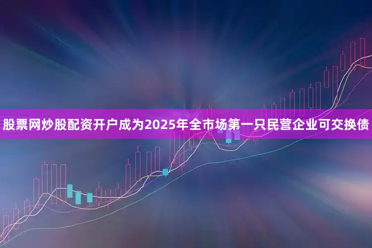 股票网炒股配资开户成为2025年全市场第一只民营企业可交换债